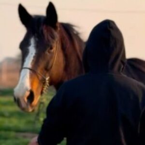 Фото профілю OleksandrHrytsenko