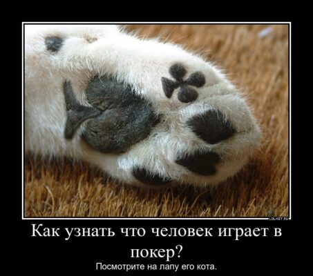poker-_1410082678