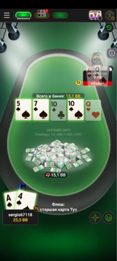 1000013324